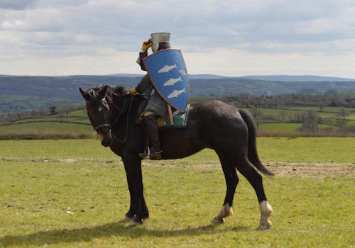 Landsker Re-enactment horse and armour
