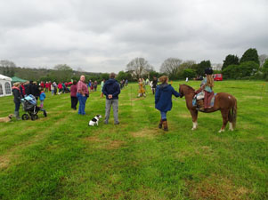 Medieval Weekend Battle Re-enactment